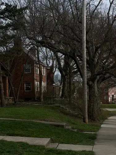 Suburban calm with a city whisper on the horizon.